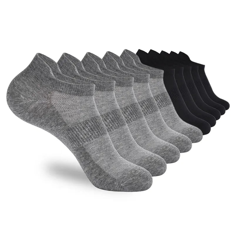 S01b912a11d4e4cbd865a2016d119ac9dR