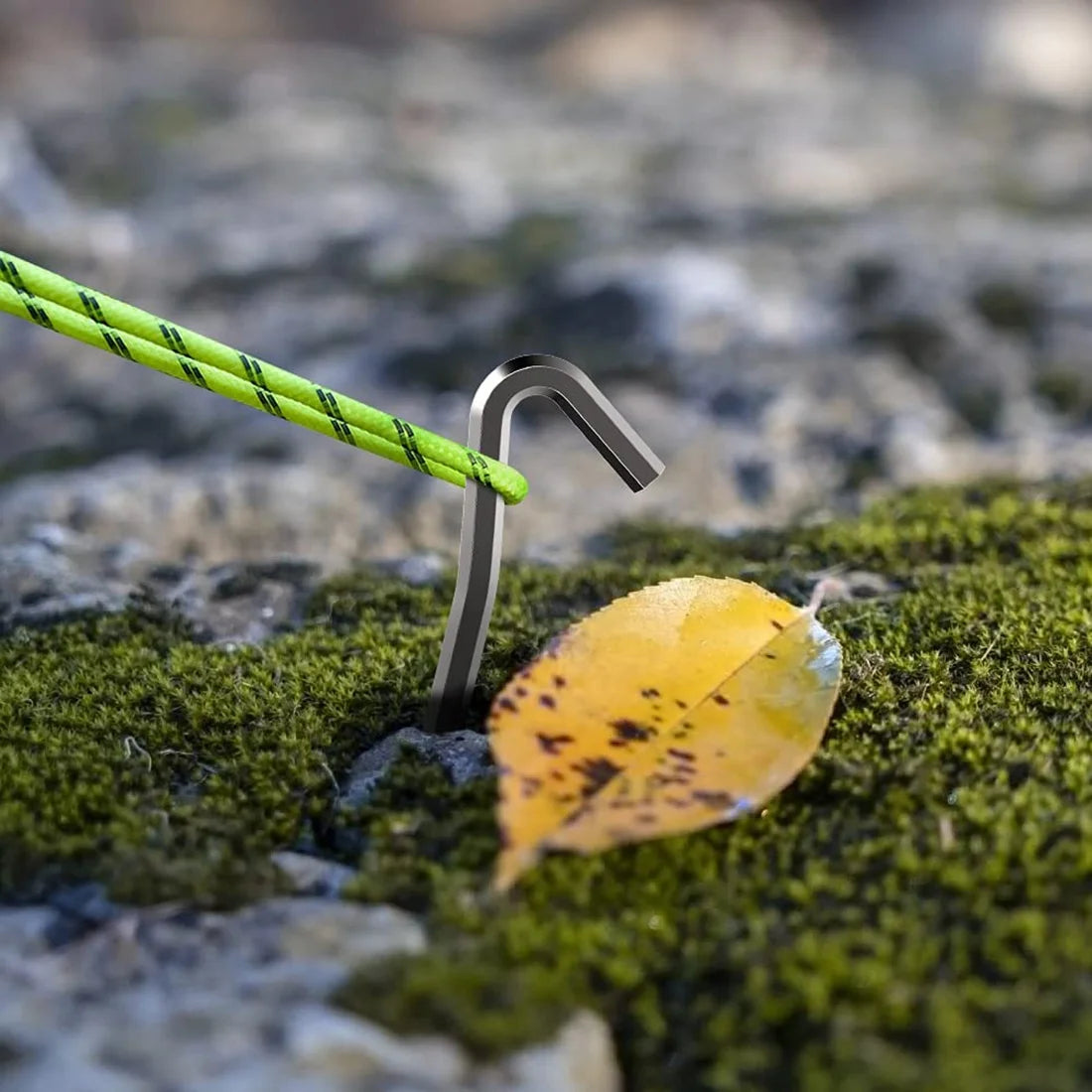 S10eeef2dfee24ebe9d4fc6b56159f425q