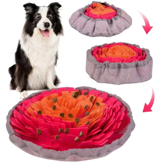S62e41a467ada45e7869d56973aa7d6d17