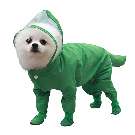 50b6b67d-1a42-40e7-b658-07b59613fcb9