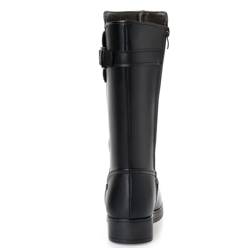 HTB1DZ6bXUzrK1RjSspmq6AOdFXa8