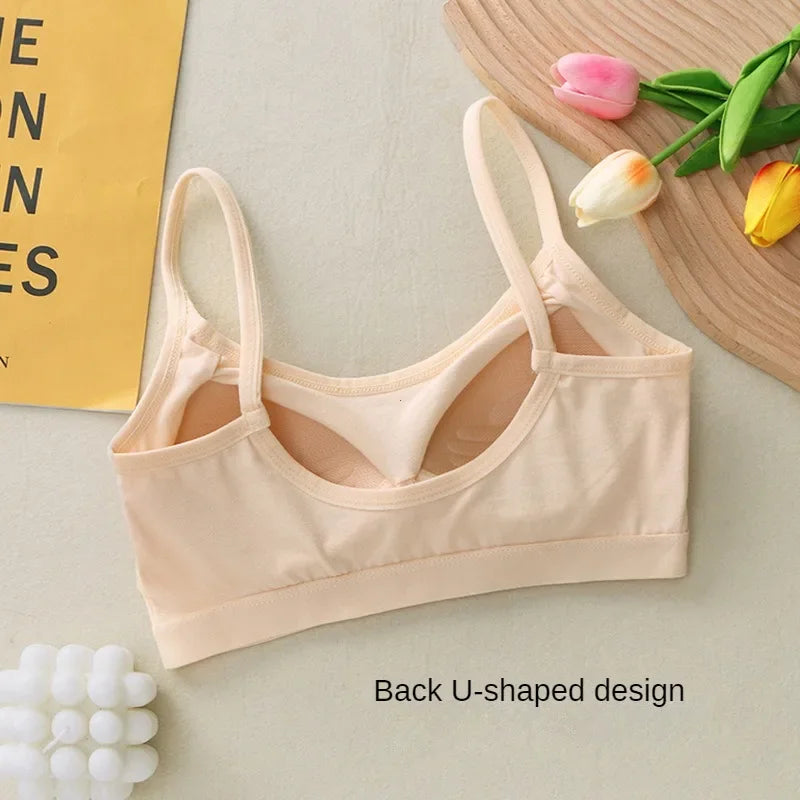 S0e95558ce86e42b0a2b5afdd666294c0u