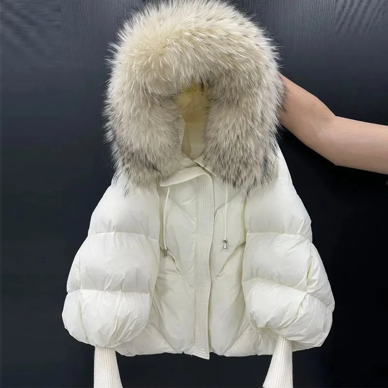 S10c5578dee2e43ef9cb34014bddad8ec9