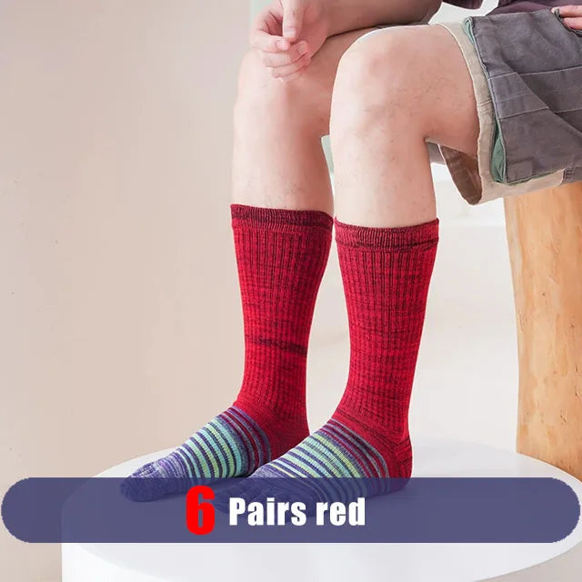 S13ae1e0205c84a42b6dec8203eedd06cA