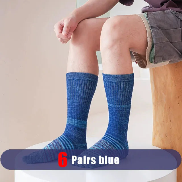 S1e923cb8133d4176bf18d70b8f1c8eb7a