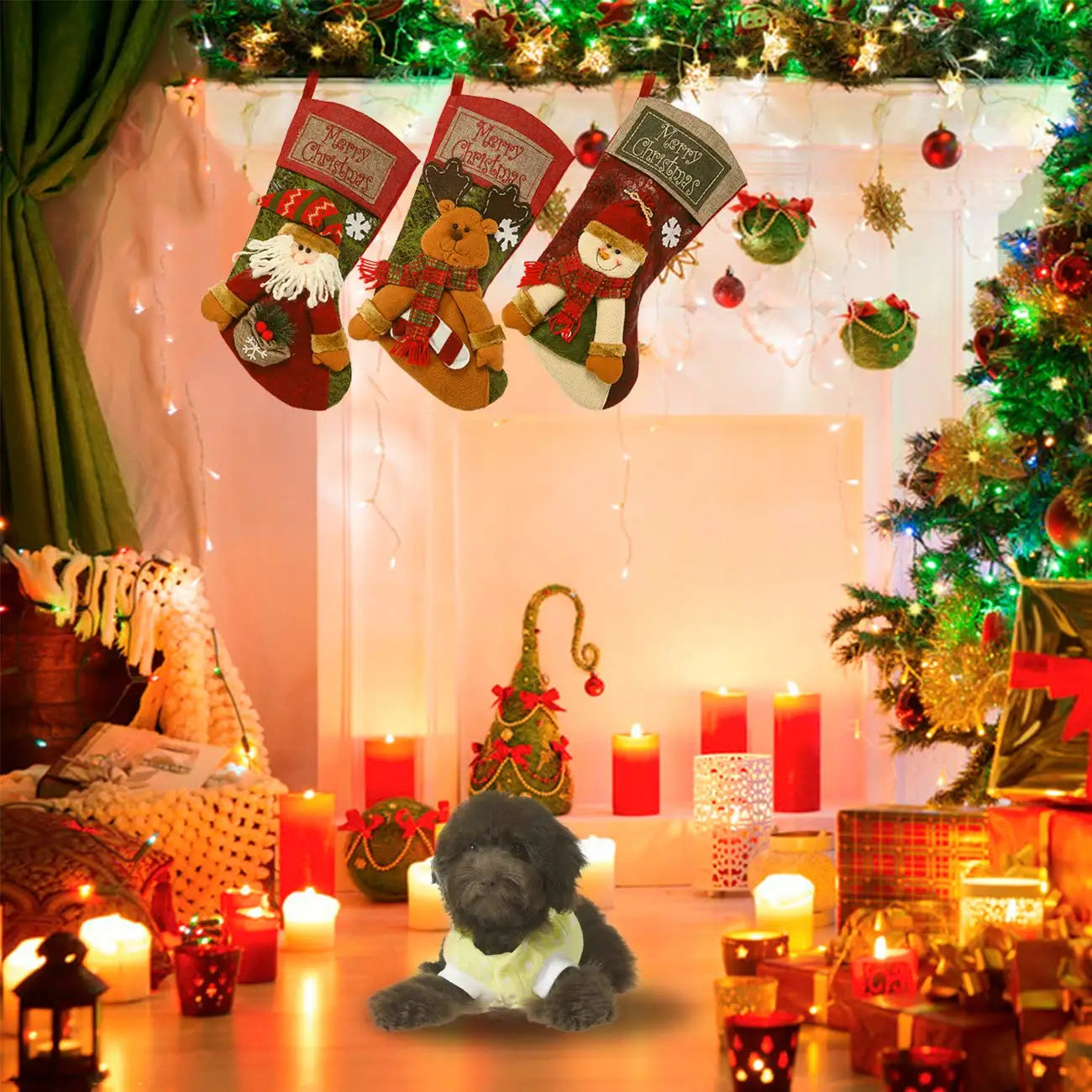 S1eb0dcd37cef4be0960d37dd7a8a6daaZ