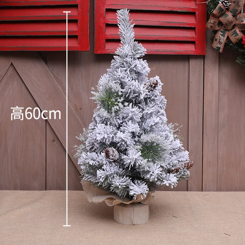 S21fe7a03e7e14e58a508887bef264d2dy