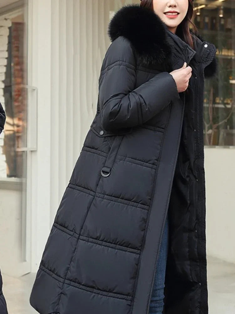 S31c781a9fadd43f1bb6fc60ff3474801D