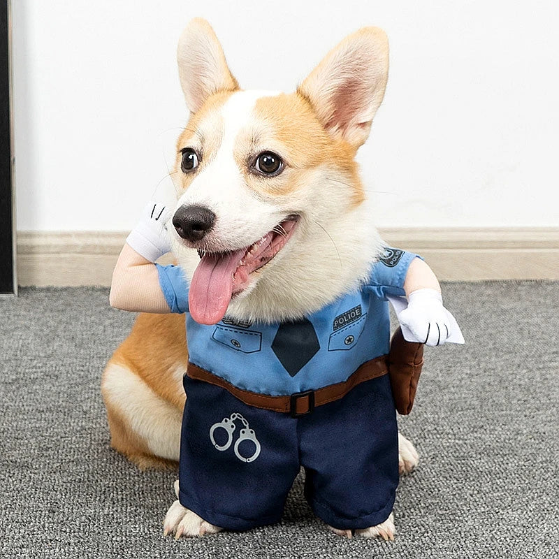 S3862c065bc30462e97bee228b3cb2f64X