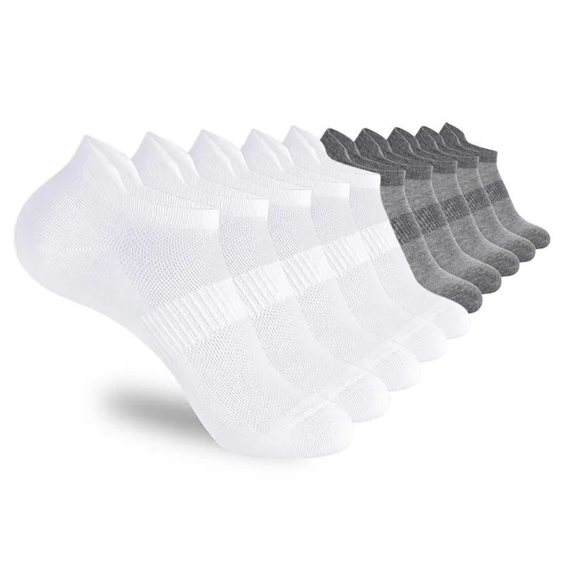 S3de6dbf223d44fa7a66689425d13c3e29