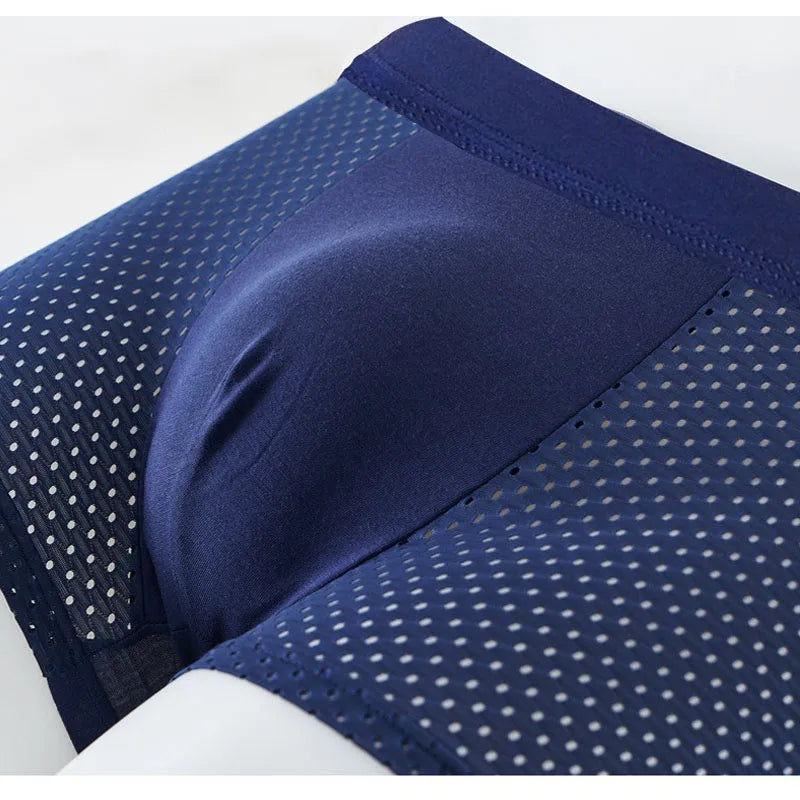 S419ba8d022d34cf283ae5105a133c5319