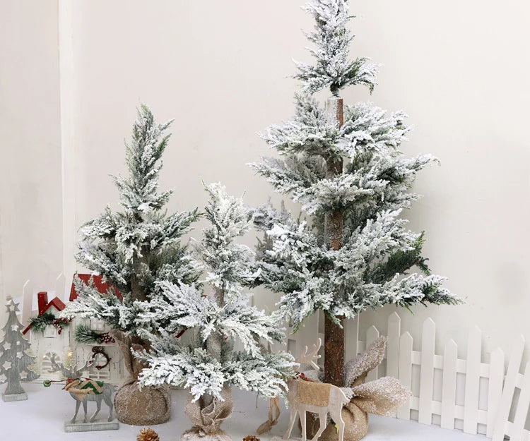 S4cc03f7547584ae98788b3df4af99c01R