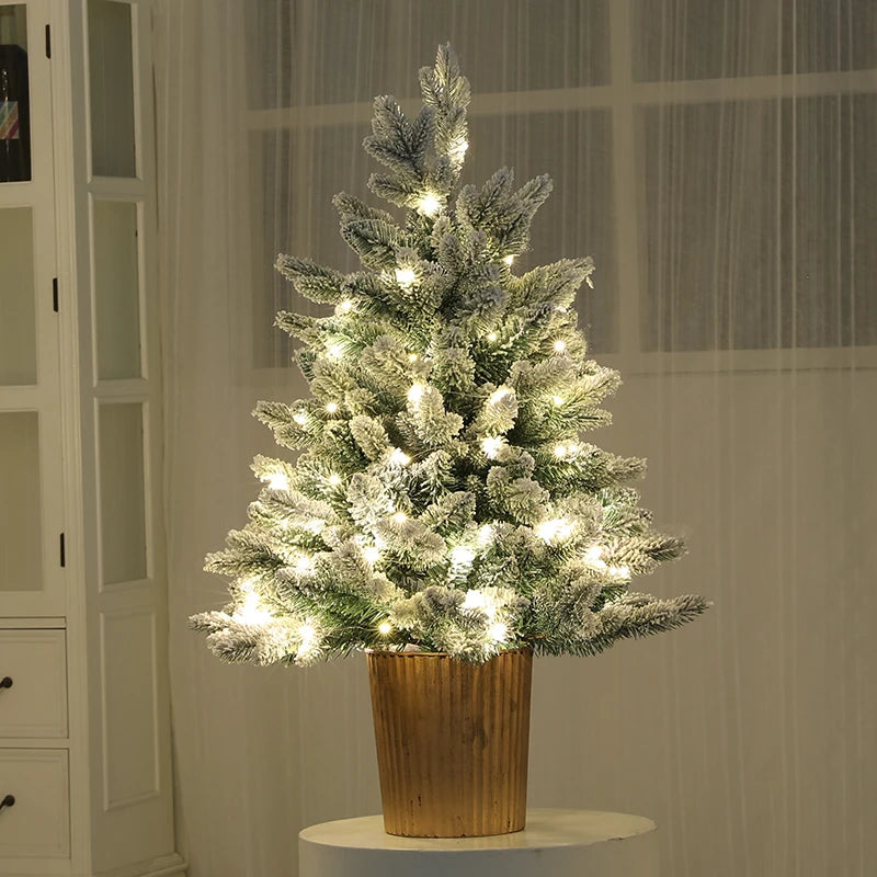 S4dbd8bf1ba11487e97210c8e089b8dfe3