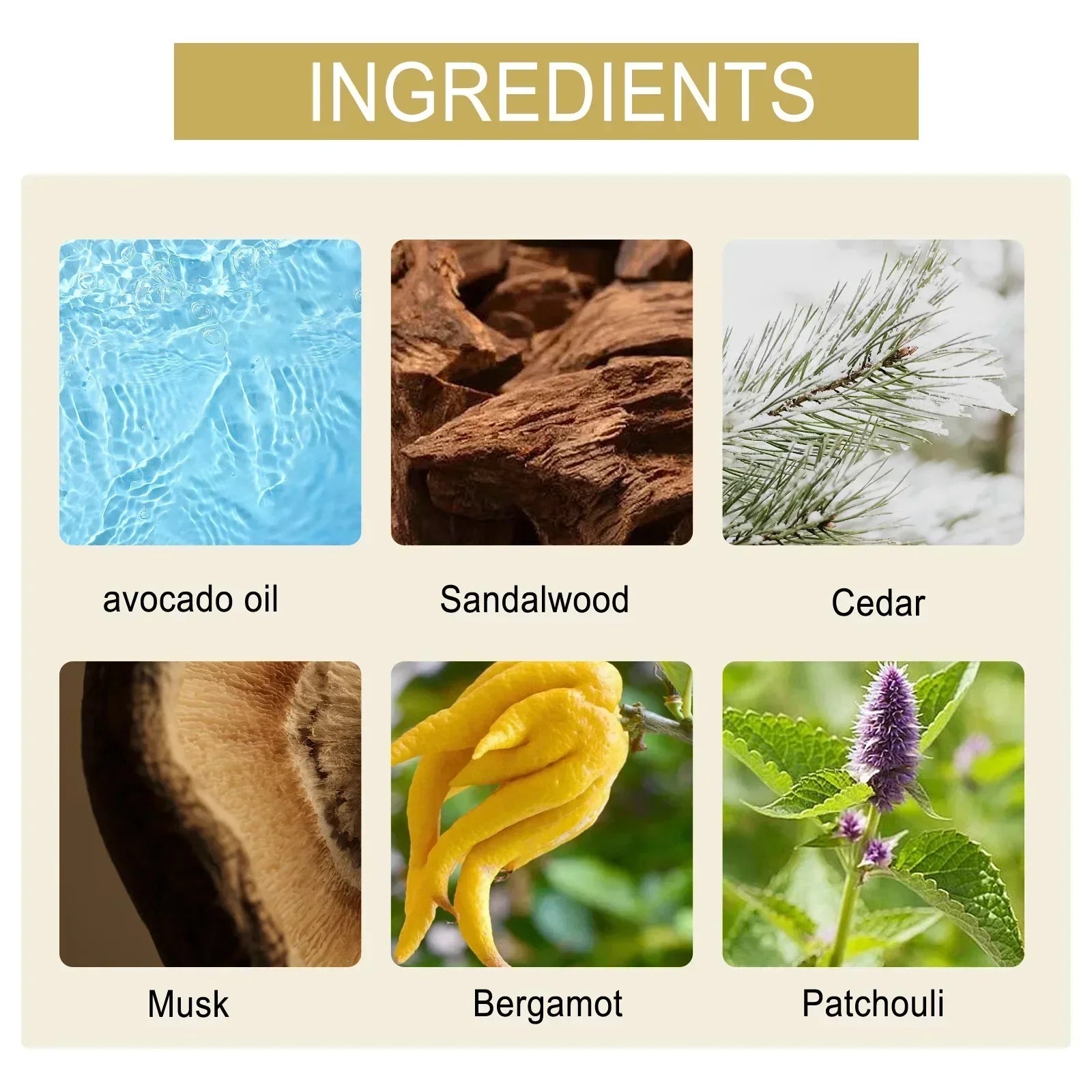 S4faa0b05fd2347d298098b58b4dc16ba3