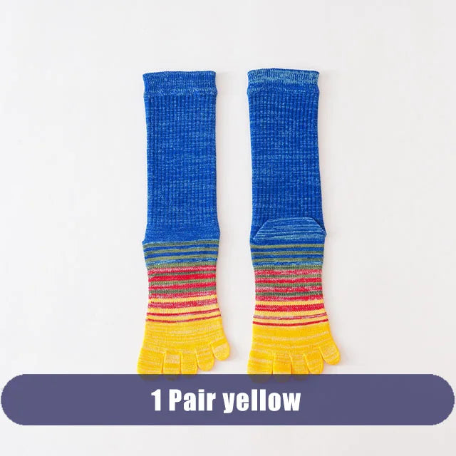 S5023e756f8fb44ea8a63aa2c9ba358729