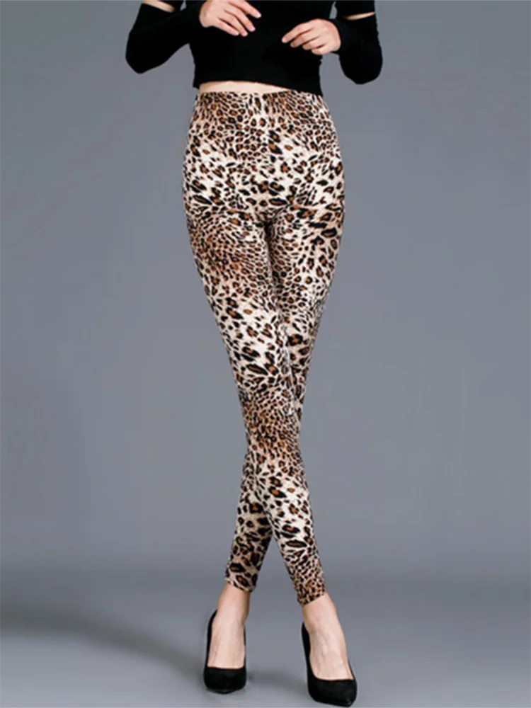 S5277aa37b14d4b7da61e6c1b1347db3e2