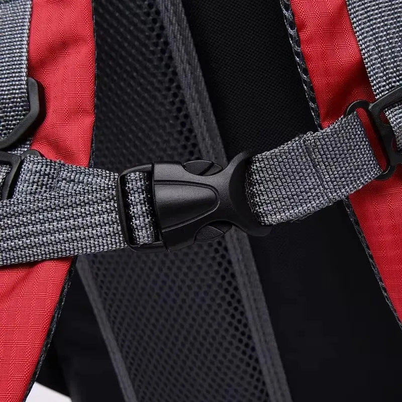 S53d078cae992444484b64f751fae1425h