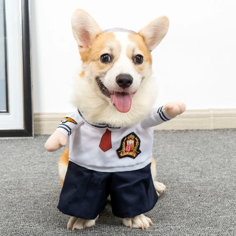 S6ad43e0a7dcd406692b285b2e92812a9m