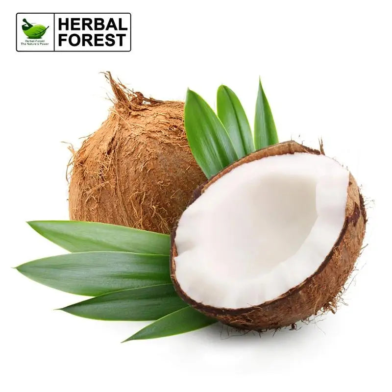 S71de26cef052472a855c157c6f9db517W