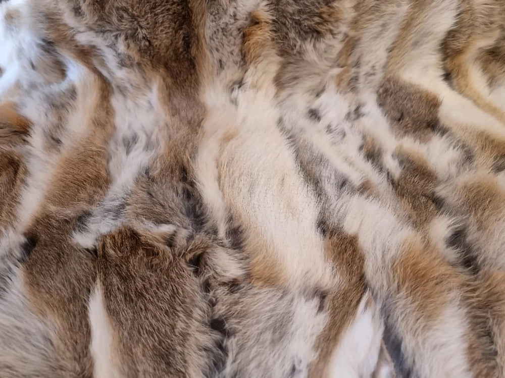 S720ed174afcc43789285c7e304c2a6e5s