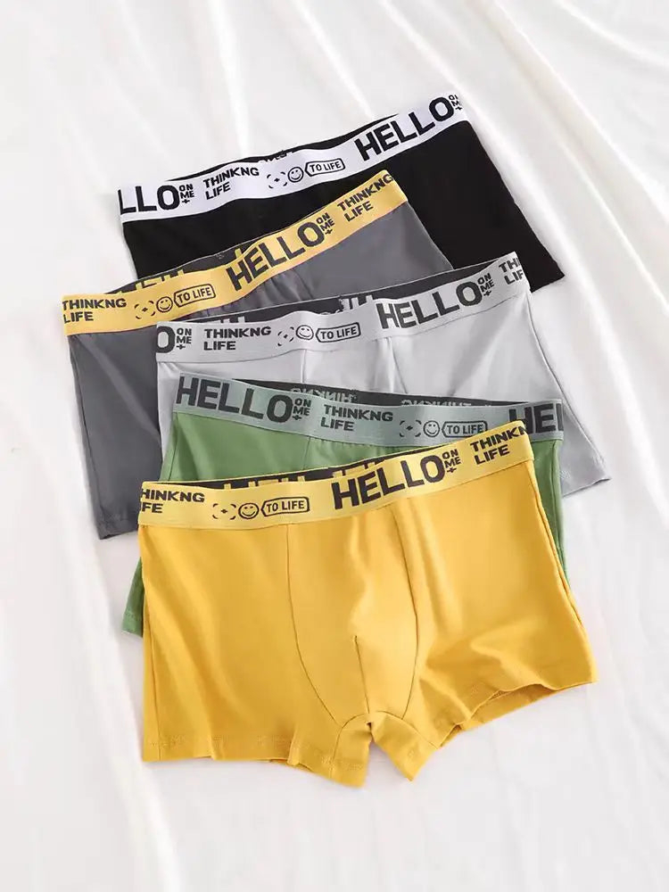 S7d09774231734a3bb64a9b9208f93721o