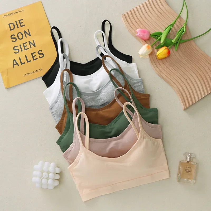 S8671a542122946c3884492aada52c703v