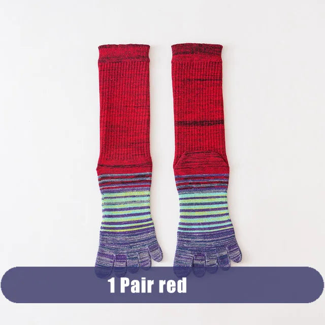 S8d366f8707b1422ea0fd216e58968d82b