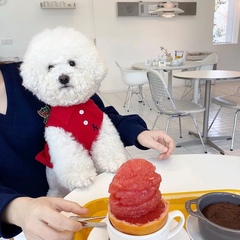 Sa475e54d01634c2d916fff6dc6adb98eD