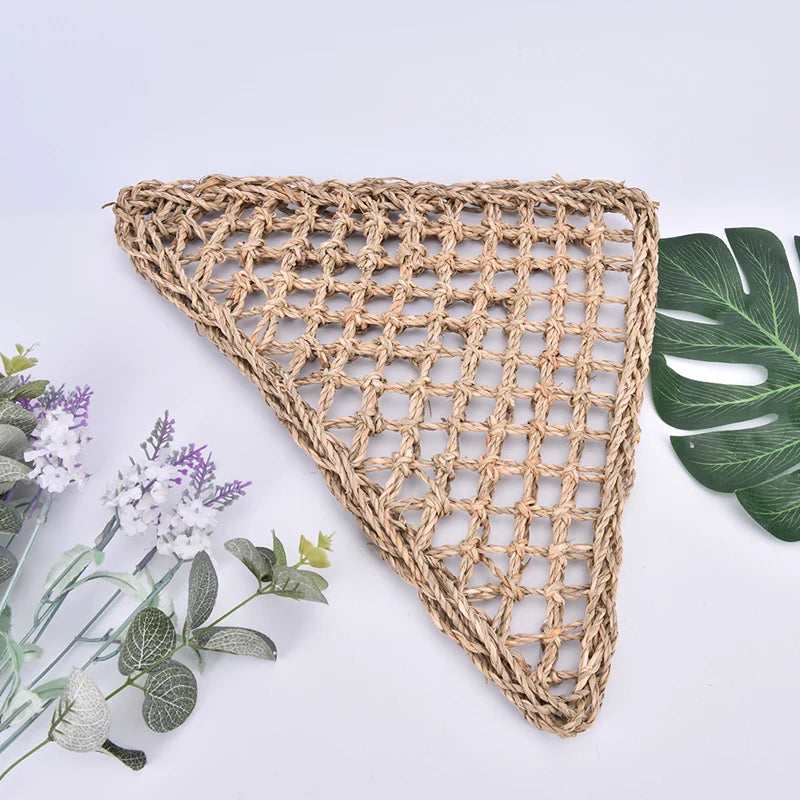 Sca166b87a8944a00bdb9ee4a7ad5569cR