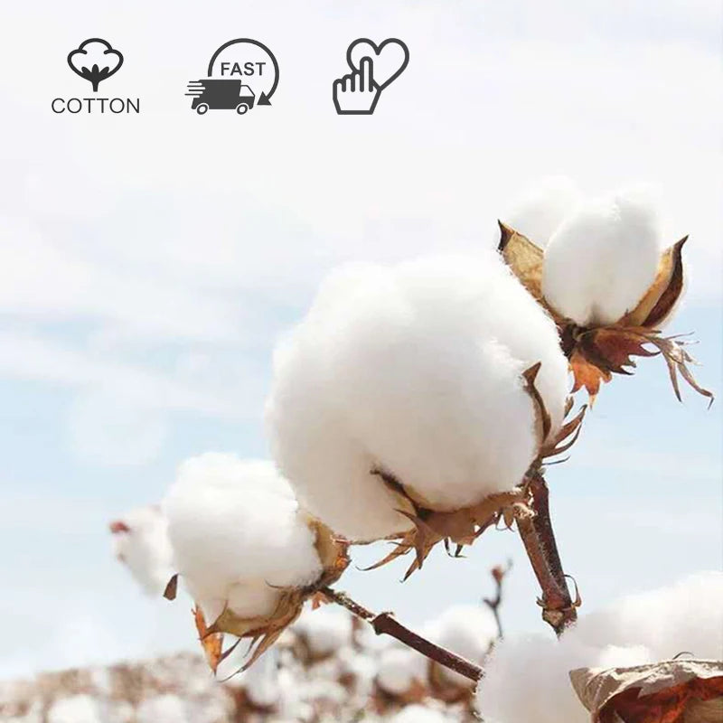 Se6980ca62483401c86268c5a3d083c80J