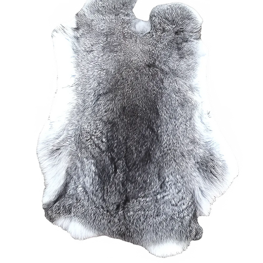 c35759f6-5db6-4c92-a77a-fe52e0d8b30a